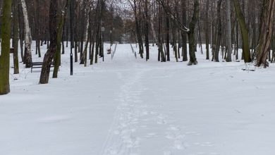 Zamiast solą, sypią kawą. W Wojkowicach stanął specjalny pojemnik na fusy [WIDEO]