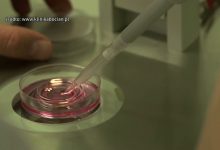 Będzie in vitro w Mysłowicach. Radni podjęli decyzję