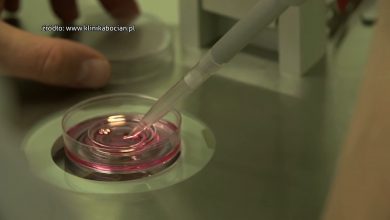 Będzie in vitro w Mysłowicach. Radni podjęli decyzję