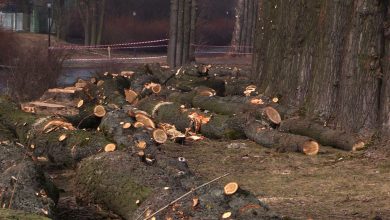 Osiedle Green Park Silesia przy Parku Śląskim wciąż nie powstaje. Inwestor traci już cierpliwość!