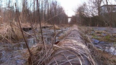 Velosdtrady, w dużej części, mają powstać w śladzie byłych kolei piaskowych