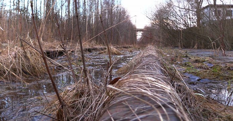 Velosdtrady, w dużej części, mają powstać w śladzie byłych kolei piaskowych