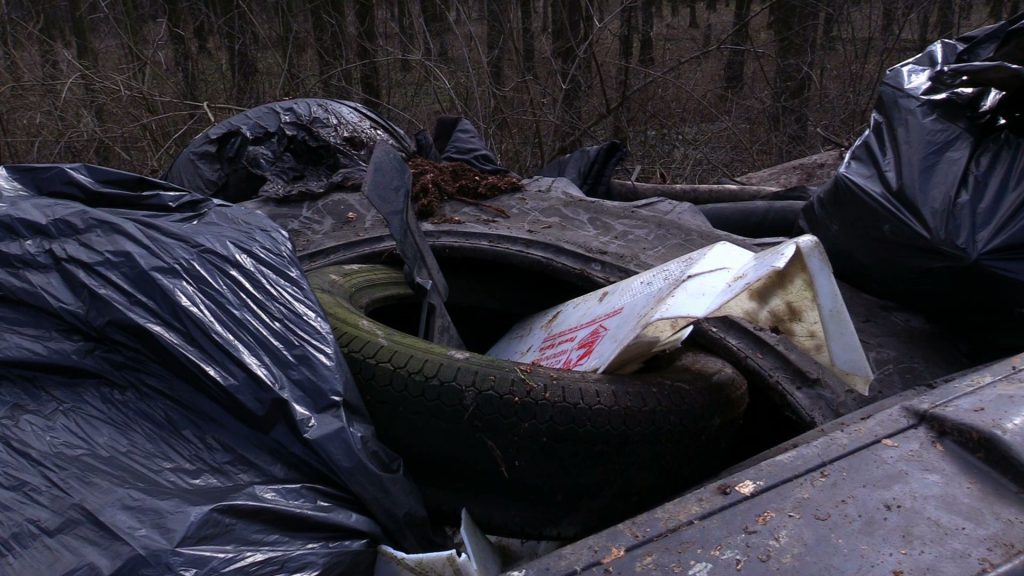 Mieszkańcy Żor sami posprzątali kawał miasta. Z lasu w Baranowicach zniknęły śmieci!