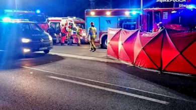 Gliwice: Tragedia na DK88. Nie żyje 17-latek (fot.Śląska Policja)