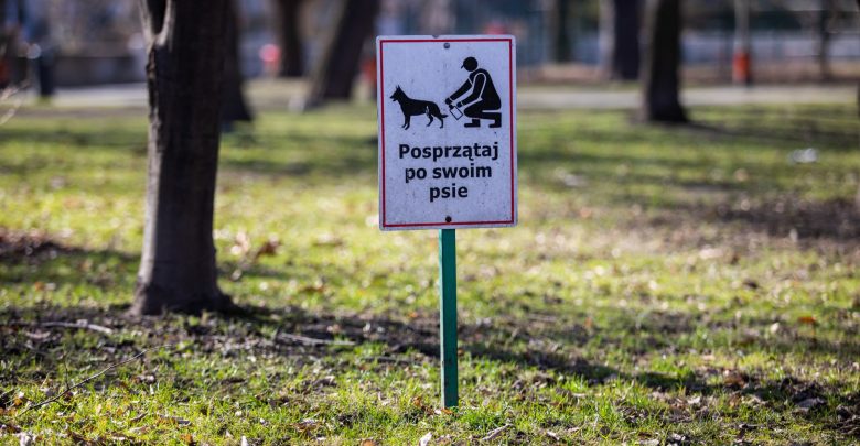 Psie kupy zalewają trawniki! Bielsko apeluje do mieszkańców! Fot. UM Bielsko-Biała