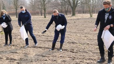 Częstochowa sieje łąki kwietne na powitanie wiosny. Fot. UM Częstochowa