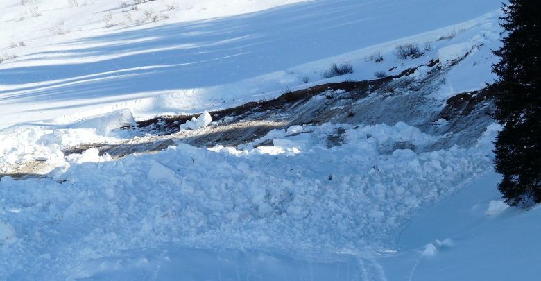 Lawina w Tatrach porwała trzy osoby! Skialpiniści zjeżdżali Doliną Młynicką (fot.pixabay.com)