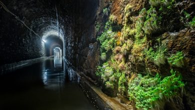 Zabrze: Wrócił ruch turystyczny na trasie wodnej Sztolni Królowa Luiza (fot.UM Zabrze)