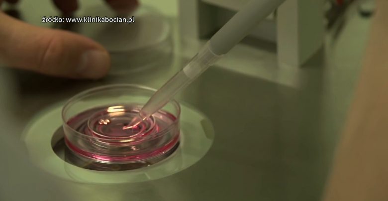W Sosnowcu ruszają zapisy do programu leczenia in vitro