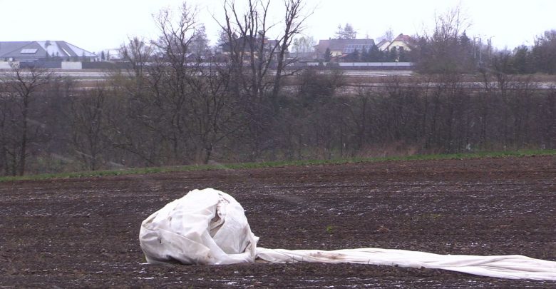 Jedno z najstarszych miast na Śląsku nadal zaskakuję miejscowych archeologów. Rolnik z Raciborza odkopał na terenie swojego pola szczątki człowieka