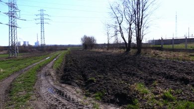 O planach budowy kopalni w dzielnicy Brzezinka mówi się od kilkunastu tygodni. Ta miałaby zapewnić pracę dla ok. 900 osób