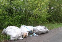 Jaworzno musiało wydać pół miliona na usuwanie nielegalnych wysypisk śmieci. Fot. UM w Jaworznie
