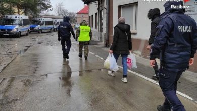 Otworzyli naczepę ciężarówki. TEGO się nie spodziewali [ZDJĘCIA]. Fot. Policja Śląska