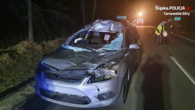 Śląskie: Zderzyła się z łosiem. 30-latka trafiła do szpitala (fot.Śląska Policja)