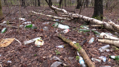 Podobnie jak w wielu innych takich miejscach, śmieci jest bardzo dużo. Jak mówią uczestnicy akcji, częściowo za taki stan odpowiada młodzież, która często organizuje tu imprezy.