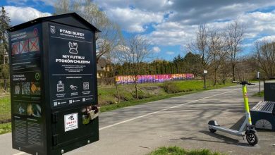 Rybnik: Nie futruj ptoków chlebym! Skorzystaj z ptasiego bufetu (fot.UM Rybnik)