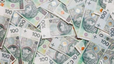 Od 3 czerwca wchodzą nowe przepisy unijne ws. przewożenia pieniędzy przez granicę (fot.MF)