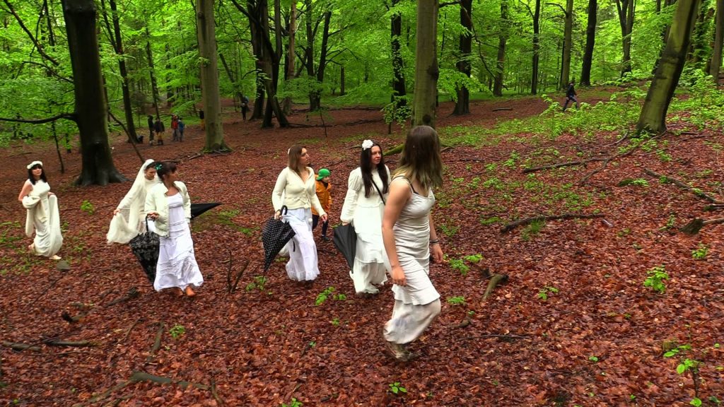 W Katowicach odbył się zbiorowy ślub... z bukami! Aktywiści chronią 200-letnie drzewa przed rzezią!