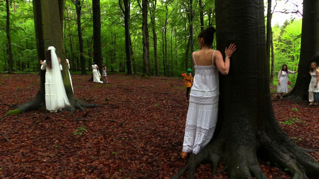 Zaślubiny z murckowskimi bukami. Mimo padającego deszczu i przy akompaniamencie skrzypiec kobiety ubrane na biało dokonały w niedzielę symbolicznych zaślubin z 200-letnimi bukami w lesie murckowskim