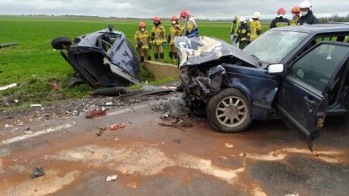 Czołowe zderzenie citroena z volvo. Zginęła kobieta w ciąży (fot.Policja Opolska)