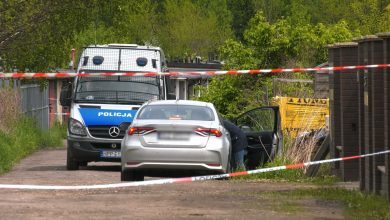 Makabra w lesie. Dzieci znalazły poćwiartowane ciało/fot.poglądowe