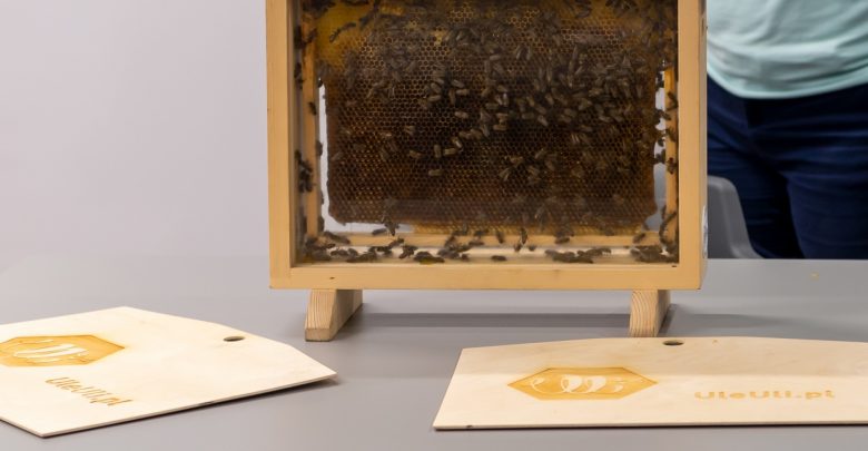 Przegapiłyście spotkanie o pszczołach? 28 maja o 18.00 Urszula Mazurowska ponownie zawita w BAŚCE.  [fot. UM Bytom]