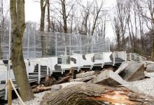 Pantery śnieżne ze śląskiego ZOO mają nowy wybieg. To inwestycja z Marszałkowskiego Budżetu Obywatelskiego (fot.Śląski Ogród Zoologiczny)