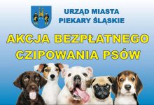 Zaczipuj swojego psa, czyli akcja bezpłatnego czipowania psów w Piekarach Śląskich (fot.UM Piekary Śląskie)