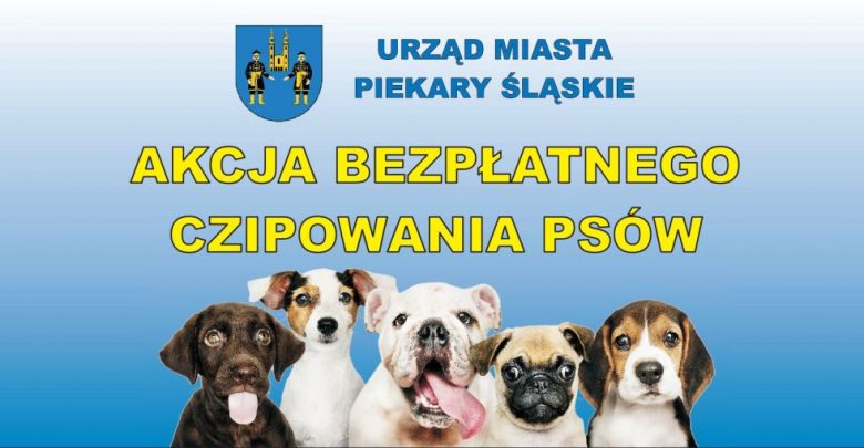 Zaczipuj swojego psa, czyli akcja bezpłatnego czipowania psów w Piekarach Śląskich (fot.UM Piekary Śląskie)