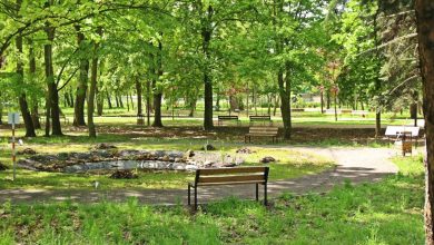 Sosnowiec zrewitalizował Park Fusińskiego. W środę otwarcie. Fot. UM Sosnowiec