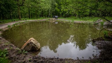 Teren wokół Planetarium Śląskiego już nie będzie takie samo. Wkrótce ruszy przebudowa (fot.Park Śląski)