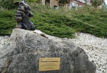 Jaworzno ma kolejny pomnik chomika europejskiego. Fot. UM w Jaworznie