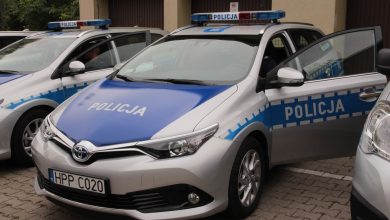 Samira odnaleziona. Jak informuje chorzowska policja, dzięki szybkiej reakcji mediów oraz internautów odnaleziono zaginioną mieszkankę Chorzowa (fot.UM Chorzów)