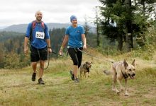 Przygoda na cztery łapy w Parku Śląskim, czyli Puchar Polski w Dogtrekkingu już 26 czerwca! (fot.Park Śląski)