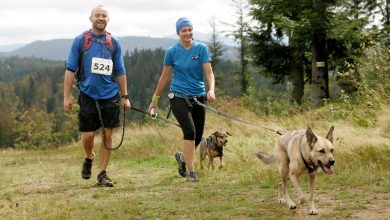 Przygoda na cztery łapy w Parku Śląskim, czyli Puchar Polski w Dogtrekkingu już 26 czerwca! (fot.Park Śląski)