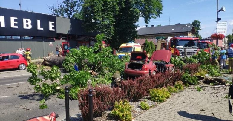 Olbrzymie drzewo przewróciło się na samochód w Żywcu. W środku znajdowali się ludzie! O sprawie poinformowało Radio Bielsko (fot.Radio Bielsko)