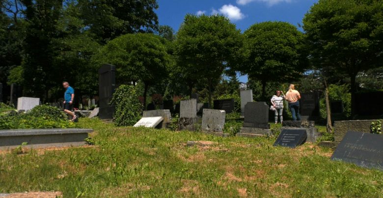 Ogrom zniszczeń jest straszny! Ktoś w szabat zrównał z ziemią cmentarz żydowski w Bielsku-Białej!