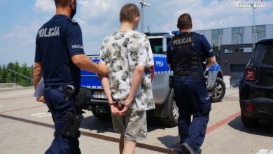 GTA weszło za mocno. 18-latek ukradł audi za 60 tysięcy. Fot. Śląska Policja