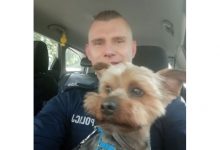 Dla siemianowiczanki to był cały jej skarb. Zrozpaczonej kobiecie policja szukała psa. I znalazła