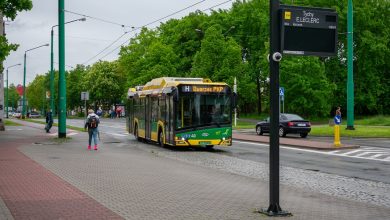 Wakacyjne zmiany rozkładów jazdy to nie tylko dodatkowe połączenia. W wybrane dni, do miejsc często odwiedzanych przez pasażerów dojeżdżać będą autobusy mieszczące większą liczbę pasażerów. [fot. poglądowa / ZTM ]