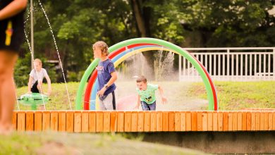 Szukacie pomysłu na rodzinny wypad? W Pszczynie otwarto Park Aktywności (fot.UM Pszczyna)