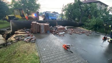 Najwięcej zdarzeń dotyczyło przewróconych drzew i połamanych konarów – było 19 takich interwencji. Pojedyncze zdarzenia dotyczące zalanych piwnic budynków mieszkalnych oraz uszkodzonych linii energetycznych. [fot. KM PSP w Bielsku Białe / UM w Bielsku-Białej]