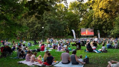 Kino Plenerowe wraca do Gliwic. Start 4 lipca (fot.UM Gliwice)