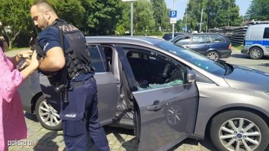 Pies w nagrzanym aucie. Właścicielka czworonoga nie widziała w tym nic złego (fot.policja.pl)