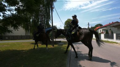 Nadal trwają poszukiwania podejrzanego 52 letniego mężczyzny, który z piątku na sobotę dokonał zbrodni w wyniku której śmierć ponieśli 44 letni mężczyzna, jego 44 letnia żona i najstarszy 17 letni syn