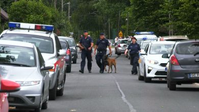 Specjalne psy z Niemiec ściągnięte do poszukiwań zabójcy 3-osobowej rodziny. Obława wciąż trwa