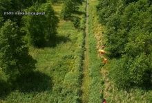 Poszukiwana kobieta w Tychach odnaleziona. Ugrzęzła w leśnym strumieniu