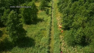 Poszukiwana kobieta w Tychach odnaleziona. Ugrzęzła w leśnym strumieniu