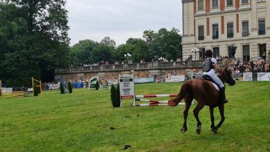 Pless Cup wróciły do Pszczyny! Pod zamkiem znowu odbyły się zawody jeździeckie