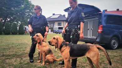 Trwają poszukiwania Jacka Jaworka podejrzewanego o potrójne zabójstwo. W akcji uczestniczy około 200 policjantów (fot.Śląska Policja)